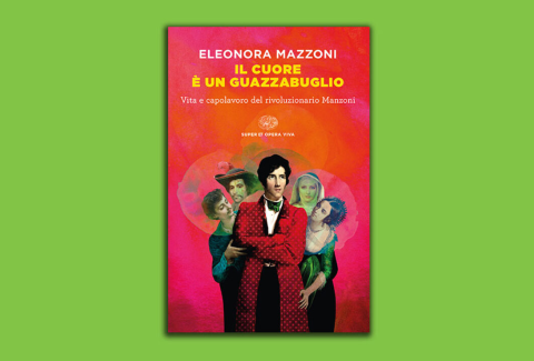 Il cuore è un guazzabuglio_cop
