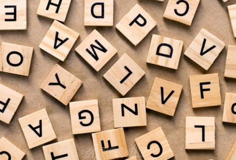 newsletter parole