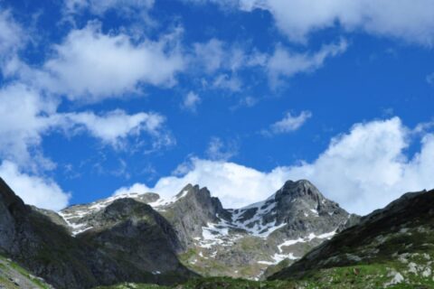 Modello immagini newsletter (26)