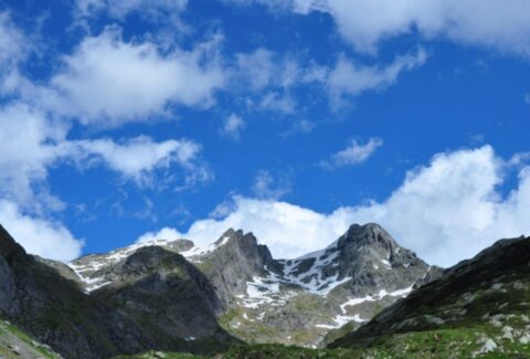 Modello immagini newsletter (26)